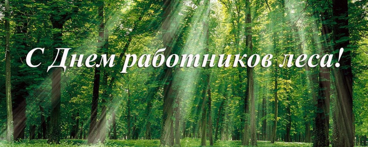С Днем работников леса!
